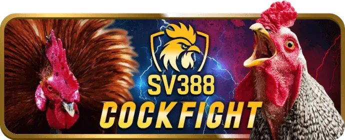 Cách tối đa hóa trải nghiệm chơi game của bạn với 888vi link